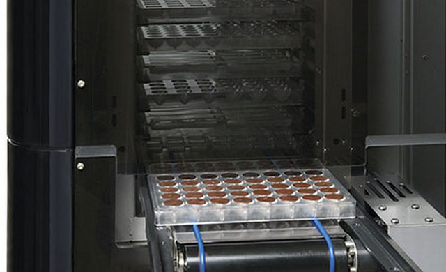 Függőleges alagút a csokoládé hűtéséhez - Image 4