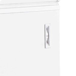 Mraznička na zmrzlinu plné víko TEFCOLD FR 205 SL